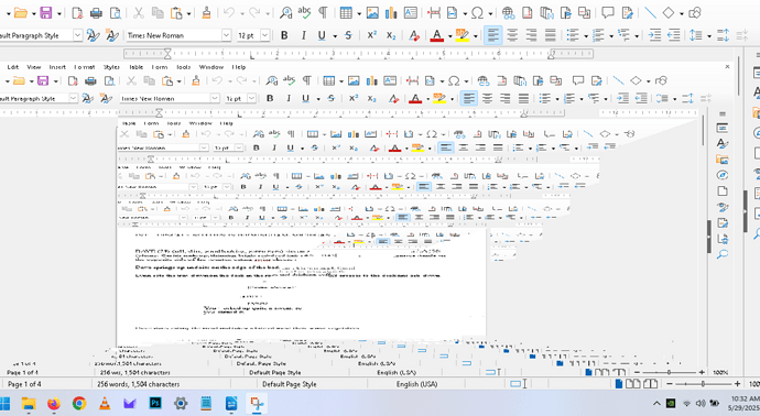 Screenshot 2025-05-29 103250