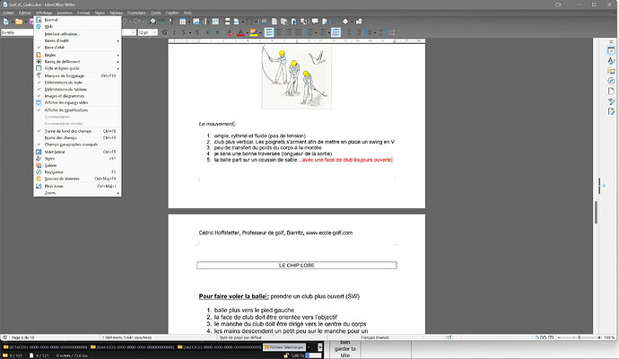 LIBRE OFFICE2