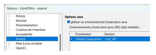 Options Java