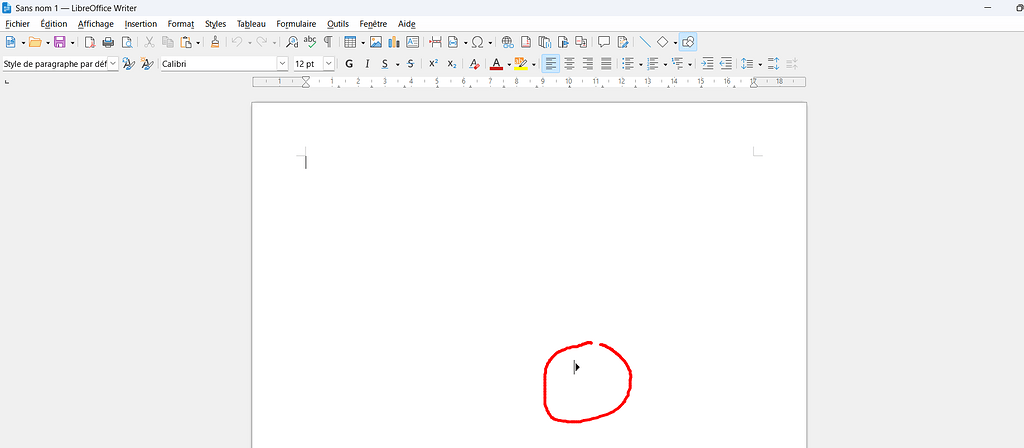 Point d'insertion dans le traitement de texte libre office - Français