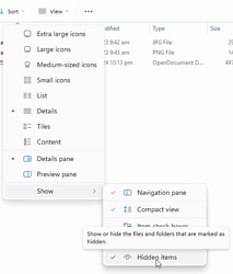 WindowsViewShowHiddenItems
