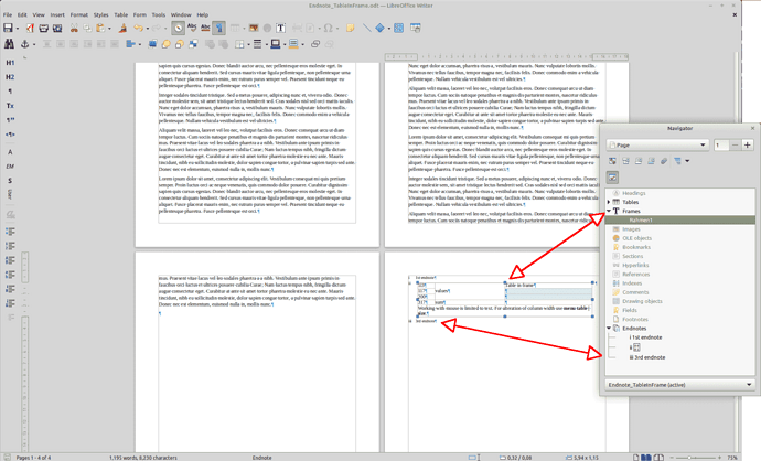 Endnote_TableInFrame