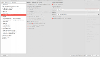 libo_options_Writer