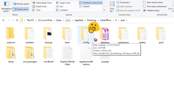 screenshot of a subfolder of the AppData Folder of Libreoffice on Windows10