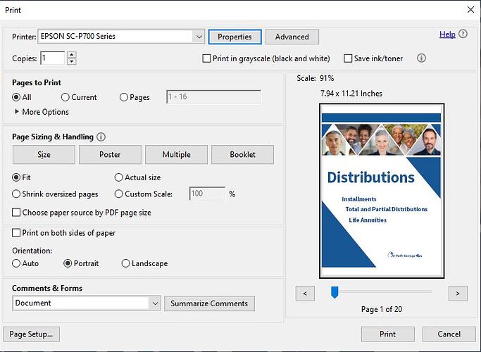 Adobe Reader print dialog showing oddball