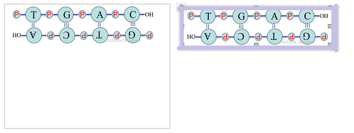 shrink frame to image size