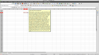 libo_long_comment