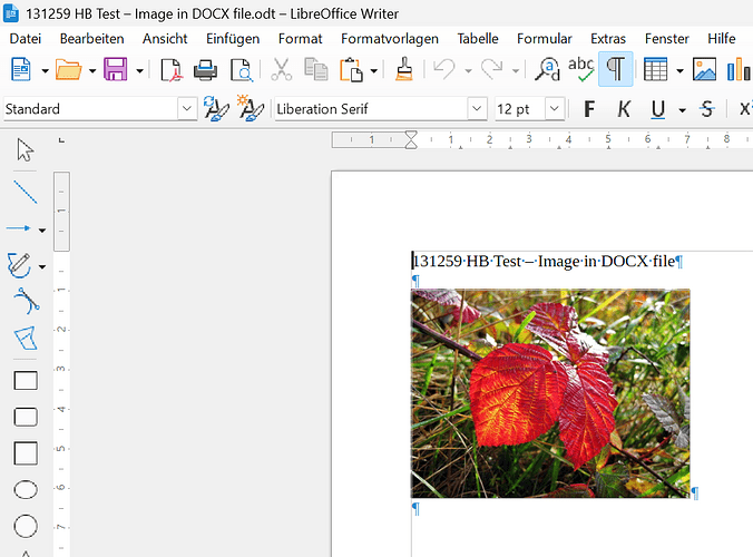 131259 HB Test – Image in DOCX file