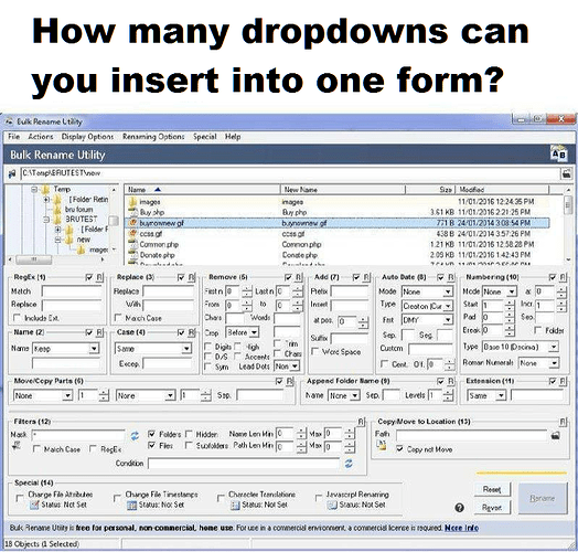 How many dropdowns can you insert into one form?