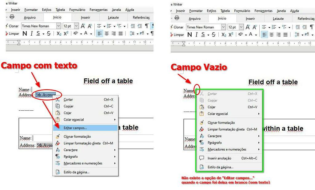 Writer N o existe a op o de editar um campo vazio BUG