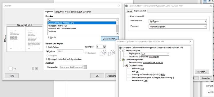 Druckeinstellungen 3