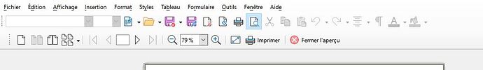 barre apercu writer