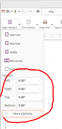 margins_widget_highlight
