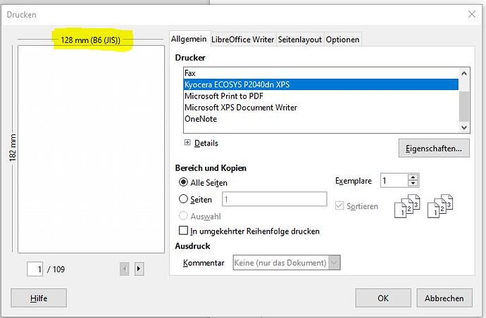 Druckeinstellungen 4