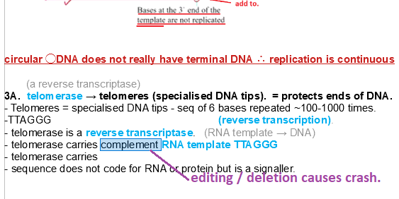 editing document causes crash