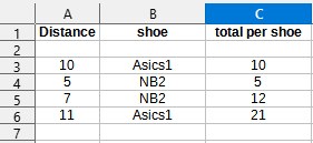 total per shoe