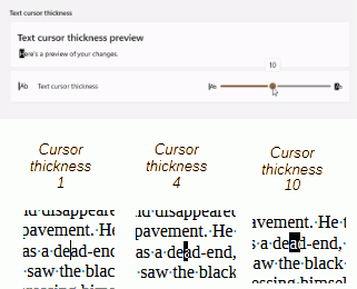 TextCursorThickness